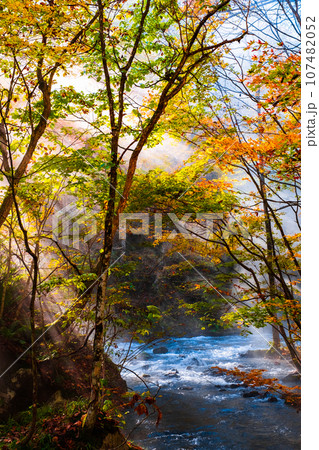 奥入瀬渓流(秋) 奥入瀬渓流(秋) 107482052