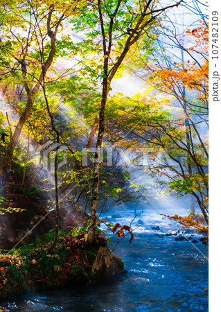 奥入瀬渓流(秋) 奥入瀬渓流(秋) 107482109
