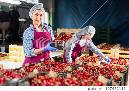 Women in cherry warehouse 107482116