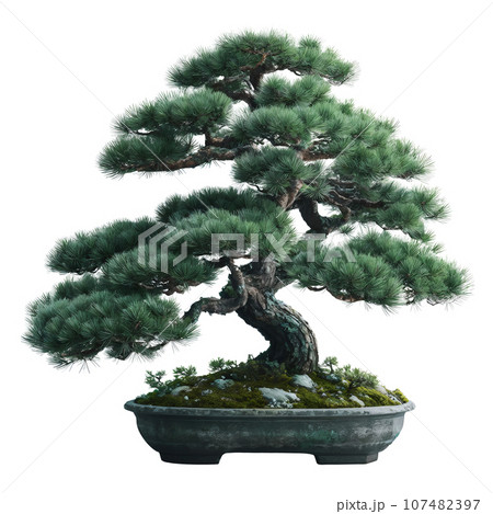 松の木盆栽　AI画像 107482397