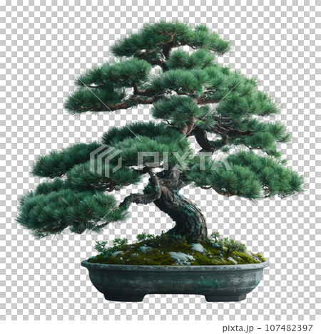 松の木盆栽　AI画像 107482397