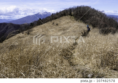 カヤトの原を歩き横尾山を目指す 107482578