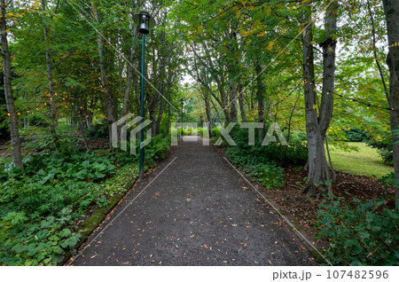 Akureyri Botanical Gardens, Iceland in autumn. 107482596