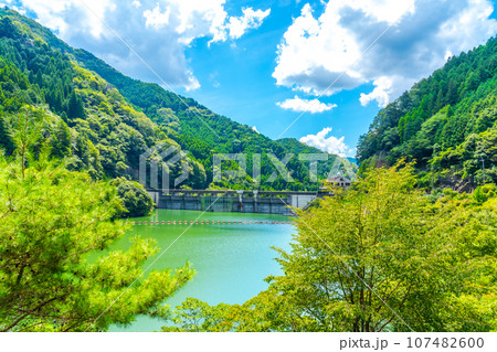 新緑に包まれたダム湖 107482600