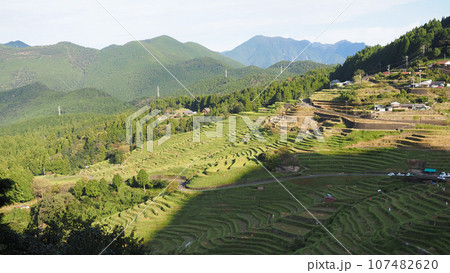 稲刈りが終わった丸山千枚田の朝 107482620