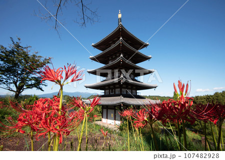 彼岸花と五重塔 107482928