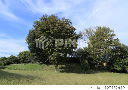 亀塚山古墳 107482949