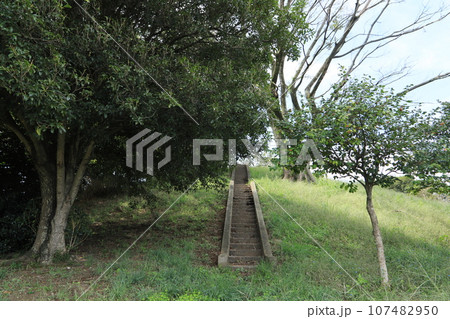 亀塚山古墳 亀塚山古墳 107482950