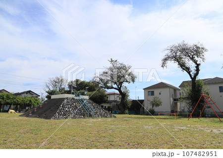 山王町1丁目さくら公園 107482951