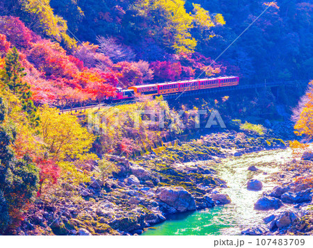 紅葉の保津峡とトロッコ列車 紅葉の保津峡とトロッコ列車 107483709