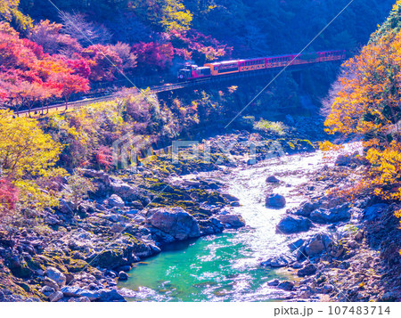 紅葉の保津峡とトロッコ列車 107483714