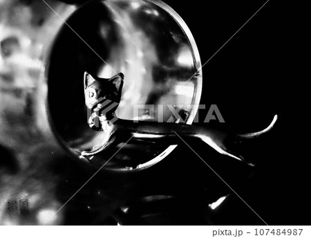 グラスとおもちゃの猫 グラスとおもちゃの猫 107484987