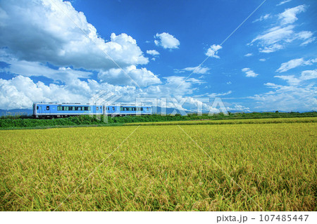 ローカル電車 107485447