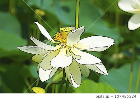パステル調 ”蓮の花” イラストイメージ パステル調 ”蓮の花” イラストイメージ 107485524