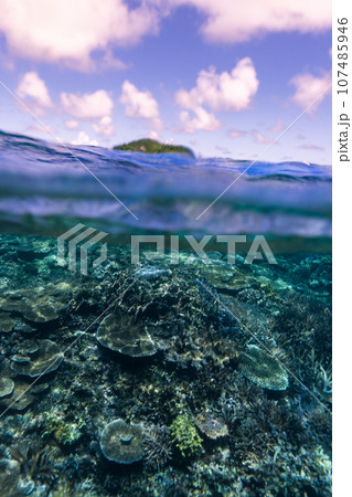 大神島と珊瑚礁 107485946