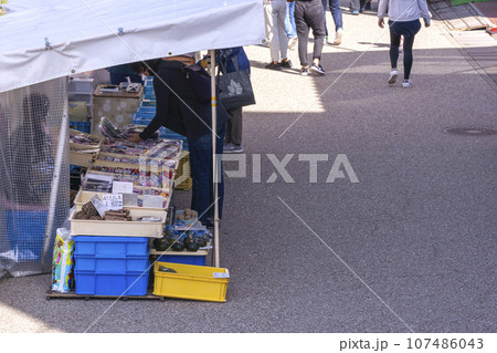 231003宮川朝市g231 231003宮川朝市g231 107486043