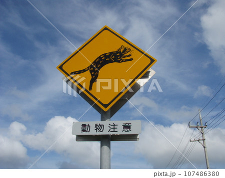 西表島　ヤマネコ注意の道路標識　横位置 107486380
