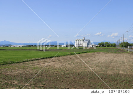 遠くにJA邑楽館林 富永カントリーエレベーターを望む群馬県邑楽郡千代田町の風景 107487106