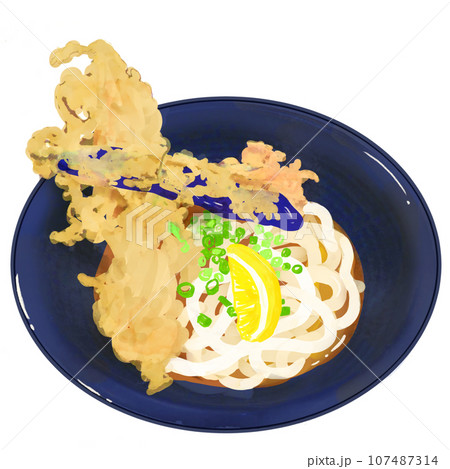 本物みたいな天ぷらうどんのイラスト 107487314