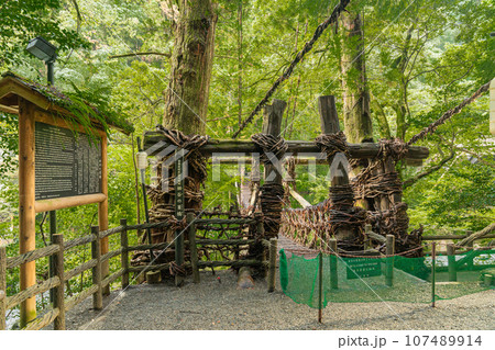 祖谷のかずら橋　徳島県　大歩危祖谷 107489914