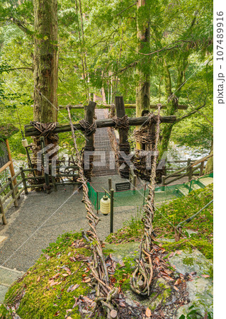 祖谷のかずら橋　徳島県　大歩危祖谷 107489916