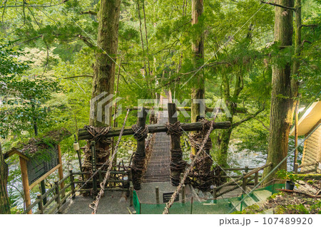 祖谷のかずら橋 徳島県 大歩危祖谷 祖谷のかずら橋 徳島県 大歩危祖谷 107489920