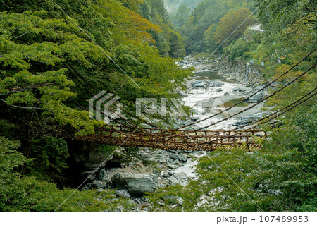 祖谷のかずら橋 徳島県 大歩危祖谷 祖谷のかずら橋 徳島県 大歩危祖谷 107489953