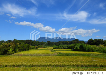 赤城南面秋景色 107491184