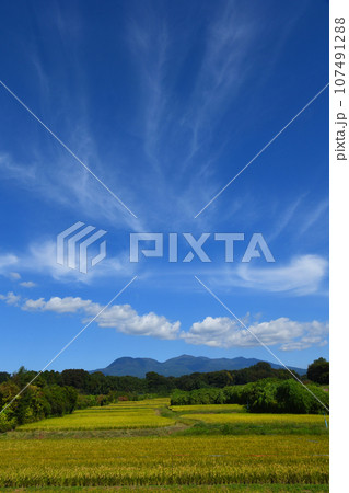 赤城南面秋景色 107491288