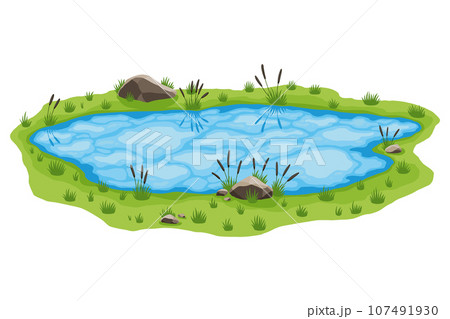 Picturesque natural pond. Concept of open small swamp lake. Water pond with reeds and stone. Natural countryside landscape. Multicolour game scene 107491930