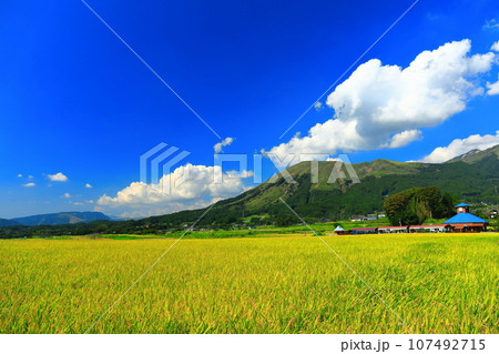 【熊本県】晴天の南阿蘇鉄道トロッコ列車と阿蘇山（白水高原駅） 107492715