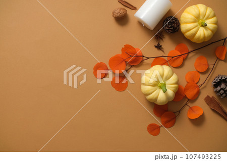 Abstract minimalist scene for Autumn and Thanksgiving day. Small pumpkins, colorful dry twigs and dried seeds are decorated on a brown background. Flat lay with space for design Abstract minimalist scene for Autumn and Thanksgiving day. Small pumpkins, colorful dry twigs and dried seeds are decorated on a brown background. Flat lay with space for design 107493225