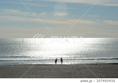 　海光る 107493438