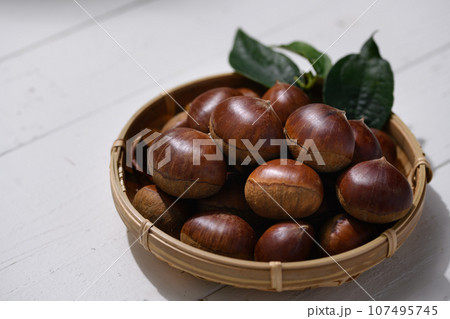秋の味覚 栗 くり クリ 生栗 (白背景） 木の実 イガグリ 栗の実 白バック 107495745