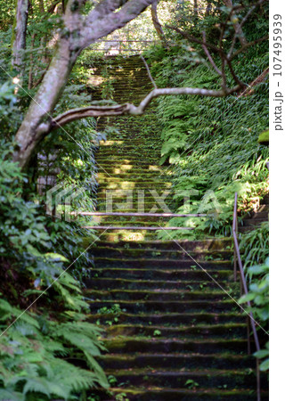 鎌倉10月　妙法寺19 107495939