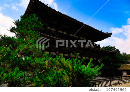 真夏の仁和寺を散歩する 真夏の仁和寺を散歩する 107495963