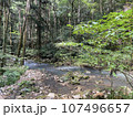 清流 107496657