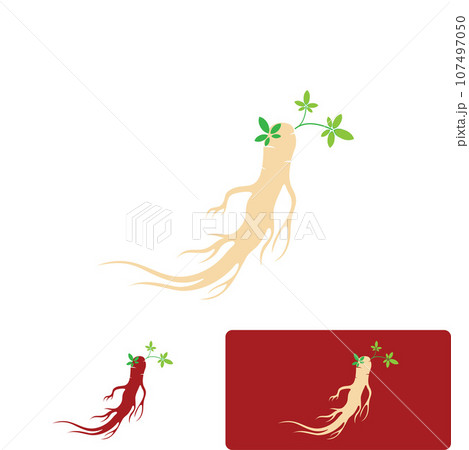 Ginseng vector icon illustration design template Ginseng vector icon illustration design template 107497050