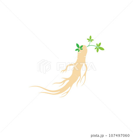 Ginseng vector icon illustration design template 107497060