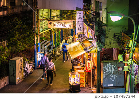日本の川崎都市景観 10月・レトロな飲み屋街・溝の口駅西口商店街などを望む 107497244