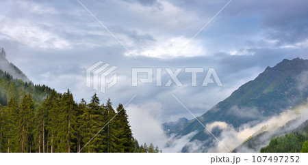Foggy summer morning in the Alps Foggy summer morning in the Alps 107497252