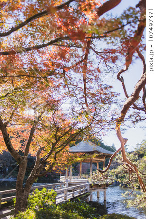 紅葉に包まれた秋の嵐山 紅葉に包まれた秋の嵐山 107497371