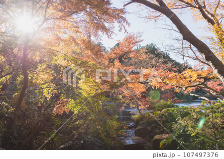 紅葉のある風景 紅葉のある風景 107497376
