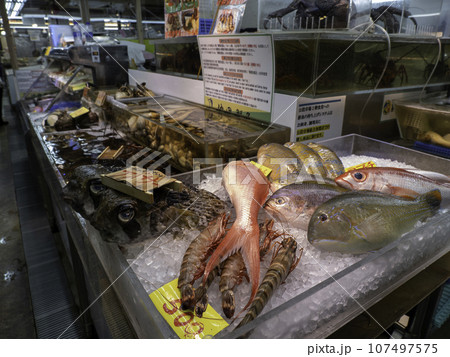 沖縄那覇牧志第一公設市場で売られている魚 107497575