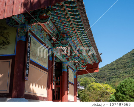 韓国・釜山　梵魚寺の境内 107497669