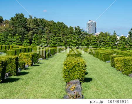 韓国・釜山 在韓国連記念公園 United Nations Memorial Cemetery 韓国・釜山 在韓国連記念公園 United Nations Memorial Cemetery 107498914