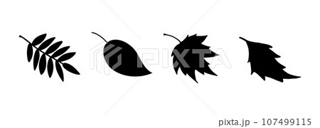 Vector silhouette autumn leaves. Black Leaves of aspen, birch, maple, rowan. Vector silhouette autumn leaves. Black Leaves of aspen, birch, maple, rowan. 107499115