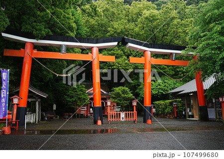 日本 鹿児島 諏訪神社 並立鳥居	 107499680