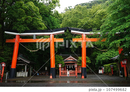 日本 鹿児島 諏訪神社 並立鳥居 日本 鹿児島 諏訪神社 並立鳥居 107499682