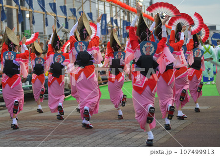 本場徳島阿波踊り 有名連の女踊り 演舞場に踊りこむ 本場徳島阿波踊り 有名連の女踊り 演舞場に踊りこむ 107499913